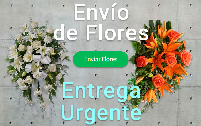 Envio flores difunto urgente a Tanatorio Albacete